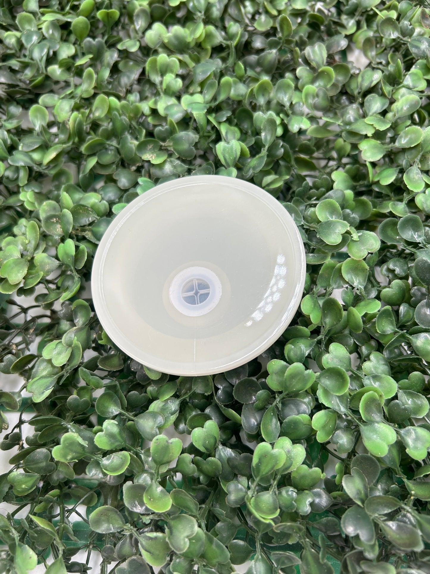 Replacment Lids for Glass Can