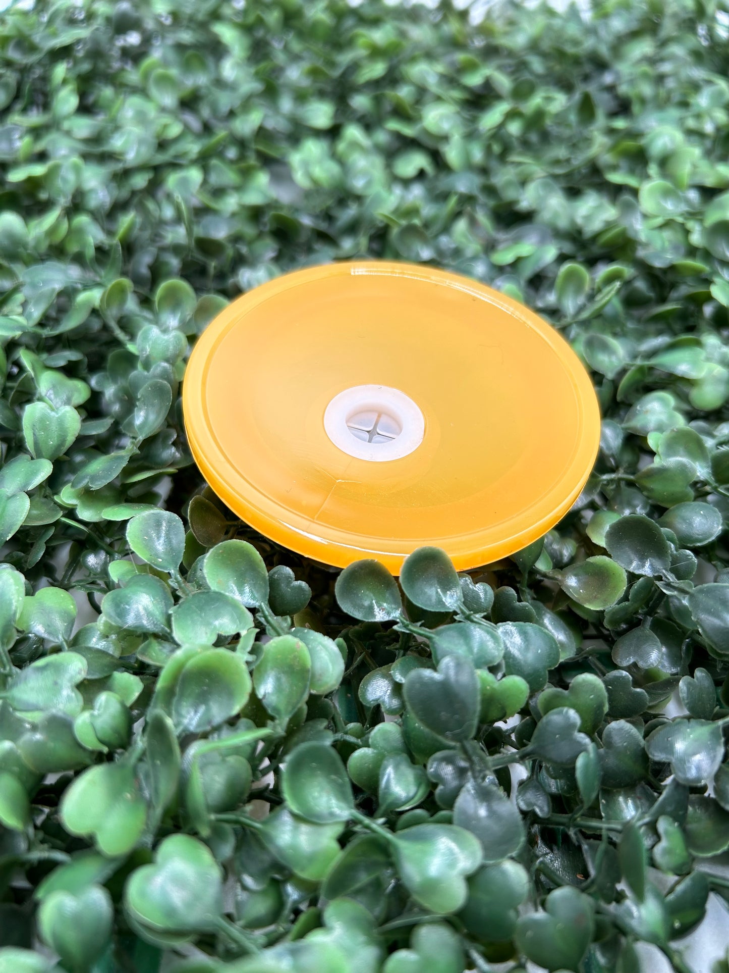 Replacment Lids for Glass Can